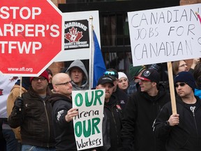 Alberta Federation of Labour (AFL) workers protest outside Edmonton's downtown arena construction site, near 104 Street and 104 Avenue, in Edmonton Alta., on Thursday Jan. 15, 2015. Workers say local jobs are being taken by foreign workers. David Bloom/Edmonton Sun