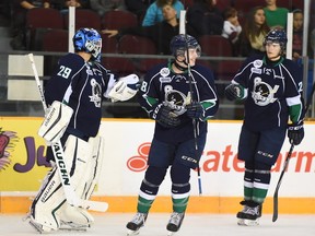 Pending league approval, the Plymouth Whalers' new home next season will be Flint, Michigan. (OHL Images)