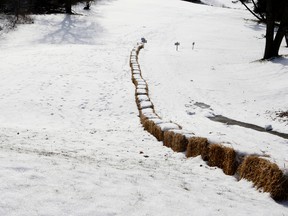 Tobogganing Hill, run by the city of Vaughan located at the Uplands Golf and Ski Club, on  Jan. 16, 2015. (Veronica Henri/Toronto Sun)