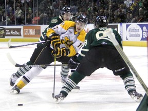 Sarnia Sting forward Alex Renaud tries to fight off two London Knights to maintain possession of the puck during the Ontario Hockey League game Jan. 2 in London. The Sting returned to London on Saturday and lost 5-3. (TERRY BRIDGE/THE OBSERVER)