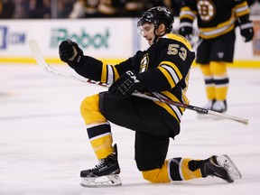 Boston Bruins centre Seth Griffith celebrates after scoring a goal during the third period against the Detroit Red Wings at TD Banknorth Garden on Dec. 29, 2014. (Greg M. Cooper/USA TODAY Sports)