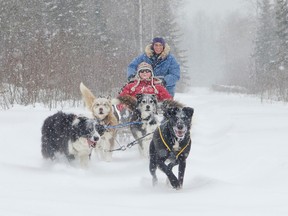 Gail Perrin co-owner of Ravens Adventures helps 63 year-old Dianne Bradley drive a sled dog team through heavy snow. Bradley was concerned she would not be able to drive the team due to her injured hand and knee. Perrin, took Bradley to a flat area, and had the dogs go very slow, and for a few brief minutes Bradley got to fulfill her bucket list wish of driving a dog-sled