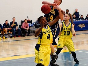 Former Jasper Place Rebels high school star Ryan Coleman (14) has embarked on a hot streak in scoring and rebounding, leading the slow-starting Concordia Thunder into a legitimate race for one of the Northern playoff spots in ACAC basketball. Standing 6-foot-6, he averages more than 21 points per game, second only to Donny Moss of the unbeaten NAIT Ooks. (John McIntosh photo)