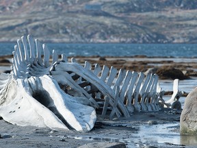 Russian director Andrey Zvyagintsev won the Best Screenplay prize at Cannes for Leviathan. The film is nominated for Best Foreign Language Film at next month's Academy Awards.