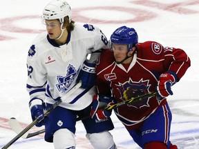 Maple Leafs prospect William Nylander, now of the Toronto Marlies, has discovered that the AHL game moves faster than he’s accustomed to. Nylander also learned that opponents — hello, Hamilton’s Christian Thomas — use uncomfortable stick tactics. (VERONICA HENRI/Toronto Sun)