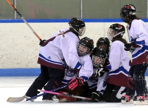 Tillsonburg Family Pet Centre U12 Twisters. (CHRIS ABBOTT/TILLSONBURG NEWS)