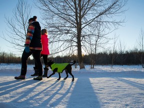 Two women walk a dog at Buena Vista Park in Edmonton on Tuesday. Mild weather saw lots of visitors to area parks throughout the day. Ian Kucerak/Edmonton Sun/ QMI Agency
