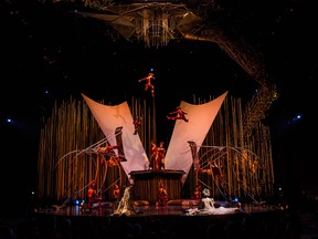 Cirque du Soleil presents Varekai. Photo supplied