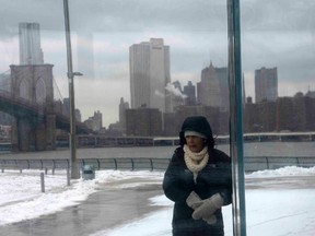A woman is seen through a window as she stands outside in the Brooklyn borough of New York City as a winter storm begins in New York January 26, 2015.   REUTERS/Stephanie Keith