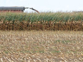 During the first week of Ideascale, a number of the suggestions involved Oxford's agricultural land.​ (ELLIOT FERGUSON, Sentinel-Review file photo)