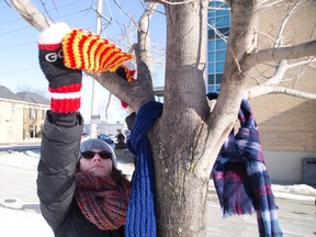 Sydney Manton, 15, and others spent their day tying 112 scarves to trees and poles downtown Monday, making them available to strangers and those in need on a cold January day. (DEREK RUTTAN, The London Free Press)