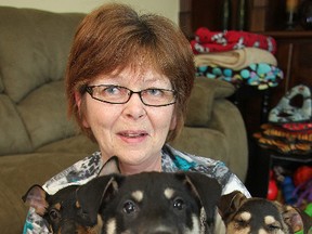 Cheryl Franklin cuddles her three northern rescue dogs that she is fostering for Manitoba Mutts Tuesday Jan. 27, 2015. The organization is worried after Pet Valu, which has donated much of the food for the rescue dogs, has decided to move its warehouse out of Winnipeg.