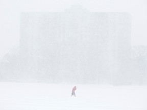 A pedestrian braves the white-out conditions during a winter storm in Halifax, N.S., in this Jan. 22, 2014 file photo. (REUTERS/Devaan Ingraham)