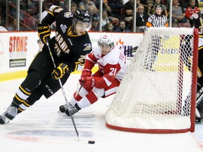 Sarnia Sting defenceman Kevin Spinozzi, a Kingston native, tries to elude the Soo Greyhounds’ Sergey Tolchinsky during an Ontario Hockey League game in Sault Ste, Marie this season. (Steph Crosier/QMI Agency)