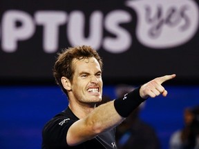 Andy Murray celebrates defeating Tomas Berdych at the Australian Open in Melbourne January 29, 2015. (REUTERS/Issei Kato)