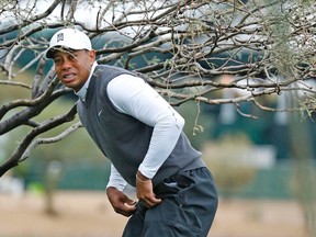 Tiger Woods surveys his options from under a tree on the 11th hole during the second round of the Waste Management Phoenix Open at TPC Scottsdale. (Rob Schumacher/Arizona Republic via USA TODAY Sports)