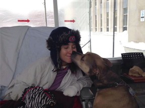 Ottawa - Jan 27, 2015 - Sarah Stott gets a visit from her dog Sheba as she recovers in hospital in Montreal after being struck by a train in Montreal earlier this month. She lost both her legs in the collision and has since had her fingers amputated because of frostbite.
submitted photo
OTTAWA SUN/QMI AGENCY