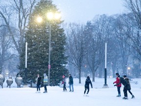 Skaters glide across the rink in Victoria Park in London, Ontario on Thursday January 29, 2015. CRAIG GLOVER/ /QMI Agency