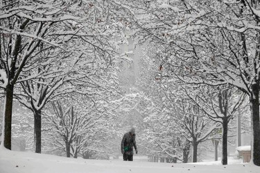 A woman walks up a hill in Millennium Park during blizzard conditions in Chicago, Illinois, February 1, 2015. (REUTERS/Jim Young)