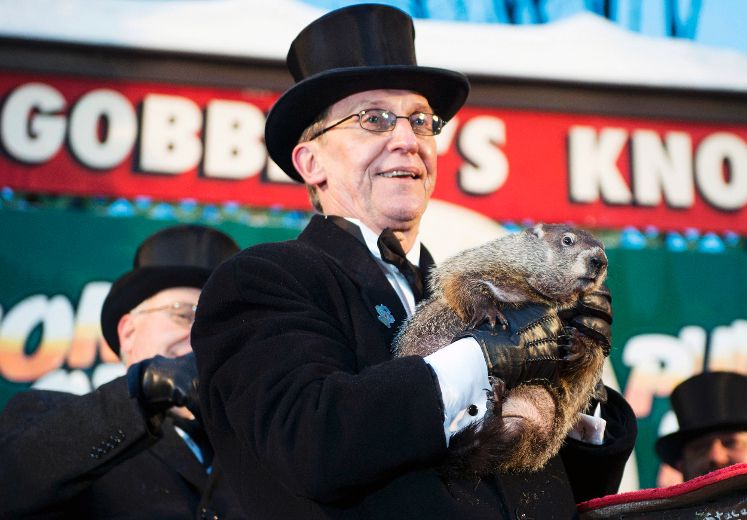 What did the groundhogs predict and who was right last year? | Toronto Sun