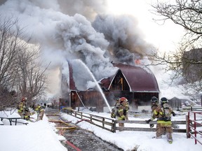 Firefighters battle a fire in a livestock barn at Storybook Gardens in Springbank Park in London, Ontario on Tuesday February 3, 2015. Three donkeys, three sheep, four rabbits and two goats housed in the barn, built in 1958, were evacuated safely, and city officials are looking for temporary homes. An investigation into the cause of the fire is ongoing. (CRAIG GLOVER, The London Free Press)