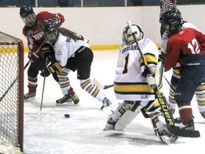 Sarnia Jr. Lady Sting goalie Ashley Norland watches teammate Samantha Villanueva keep Marquette Sentinels forward Allison Carlson away from a loose puck in the crease during international Silver Stick action at Sarnia Arena. The teams skated to a 3-3 draw in this midget A round-robin game. (TERRY BRIDGE, The Observer)