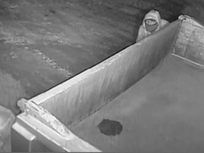 Sarnia Police have released this image from surveillance video shot at a construction company's site in the city.