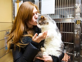 Rebecca Rennie got quite the surprise when she found her cat, who had been missing for four years, at the Lincoln County Humane Society. Rennie picked up her cat, Rosie, on Tuesday, Feb. 3, 2015. (Julie Jocsak/QMI Agency)