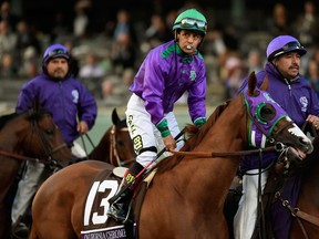 California Chrome jockey Victor Espinoza says the four-year-old is “strong this year” as the San Antonio Stakes loom. (AFP/PHOTO)