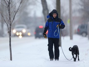 Troy Allercott navigates the stormy winter conditions with his Labrador-cross named Tanzy.

Britton Ledingham/QMI AGENCY