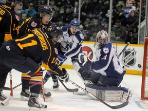 Nick Pastorious of the Barrie Colts sneaks the puck past Troy Timpano of the Sudbury Wolves during OHL action at Barrie Molson Centre on Saturday. Mark Wanzel/Barrie Examiner/QMI Agency
