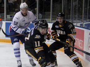 Sarnia Sting forward Hayden Hodgson gloves the puck down with teammate Anthony Salinitri and Mississauga Steelheads defenceman Brandon Devlin behind him. The Ontario Hockey League clubs faced off for the second and final time this season at RBC Centre on Sunday, with the Steelheads securing a 6-3 victory. (TERRY BRIDGE, The Observer)