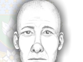 Winnipeg police released this sketch of a suspect wanted in connection with the sexual assault of a 17-year-old girl on June 21, 2014, at a Portage Avenue hotel. (SUPPLIED SKETCH)