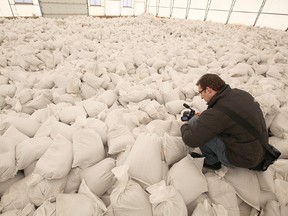 If AccuWeather's spring outlook is correct, then the demand for sandbags to prevent flooding shouldn't be nearly as high as it has been in previous years. (FILE PHOTO)