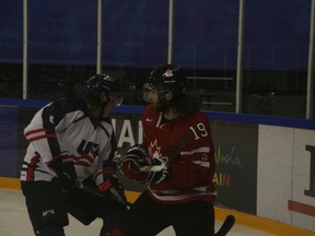 Bears foraward Levko Koper, shown here in a game against Team USA, says it helps to play with familiar linemates. (Supplied)