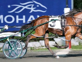 JK Shesalady won horse of the year honours in both the U.S. and Canada.