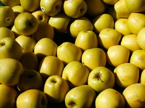 Apples sit in cases at a fruit and vegetables market in Paris September 3, 2014. (REUTERS/Benoit Tessier)