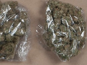 The family found a shrink-wrapped bag full containing this marijuana inside the toy. (Peel Regional Police handout)