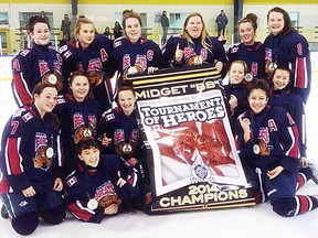 The midget BB Belleville Bearcats finished first in their division in the Lower Lakeshore Female Hockey League this season. (Submitted photo)