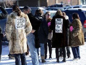 Anti fur protestors gather at Southgate Mall in Edmonton, Alberta on Saturday Feb.14, 2015. Voice for Animals organized the rally wearing donated fur. Perry Mah/Edmonton Sun/QMI Agency