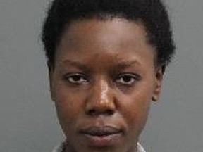 Ottawa police are looking for a woman who they allege abducted her two young sons.