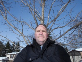 Graham Johnston does not like the tree the city planted on his boulevard in London , Ontario on Thursday, February 12, 2015. DEREK RUTTAN/ The London Free Press /QMI AGENCY