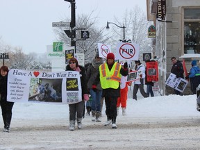 The Kingston Vegetarian Network took to the streets Saturday in a peaceful march to promote not wearing fur, and to send some love to the animals. (Steph Crosier/The Whig-Standard)