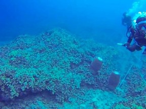 A scuba diver approaches photographer Rene Umberger as she films underwater, off the coast of Hawaii's Big Island, in this frame grab from video shot on May 8, 2014. REUTERS/The Snorkel Bob Foundation/Rene Umberger/Handout via Reuters