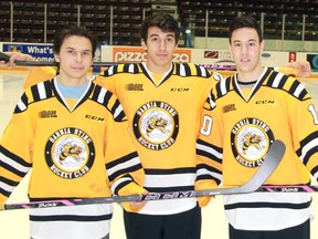 The Sarnia Sting, along with the Canadian Cancer Society, are hosting the second annual Pink in the Rink event in support of breast cancer awareness and fundraising on Friday night. Certain players, such as Troy Lajeunesse, Jordan Kyrou and Anthony Salinitri, will be playing with special pink sticks that will be auctioned off after the game. (TERRY BRIDGE/THE OBSERVER)