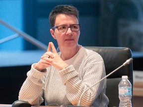 Councillor Catherine McKenney (Tony Caldwell, Postmedia)