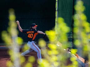 San Francisco Giants pitcher Madison Bumgarner throws a bullpen session during spring training practice at Scottsdale Stadium on Feb. 19, 2015. (Mark J. Rebilas/USA TODAY Sports)