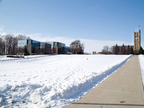 Western University campus. (Derek Ruttan, The London Free Press)