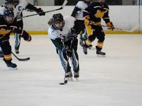 The Holy Cross Crusaders and the Napanee Golden Hawks met in the Kingston Area girls hockey final at the Invista Centre on Monday afternoon. The Crusaders won 1-0 on a goal by Caleigh Patterson. (Julien Gignac/For The Whig-Standard)