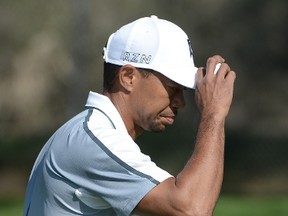 Beleaguered golfer Tiger Woods. (AFP)